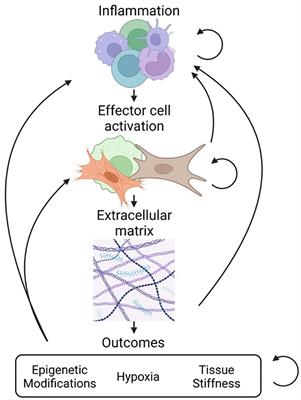 Biology of neurofibrosis with focus on multiple sclerosis